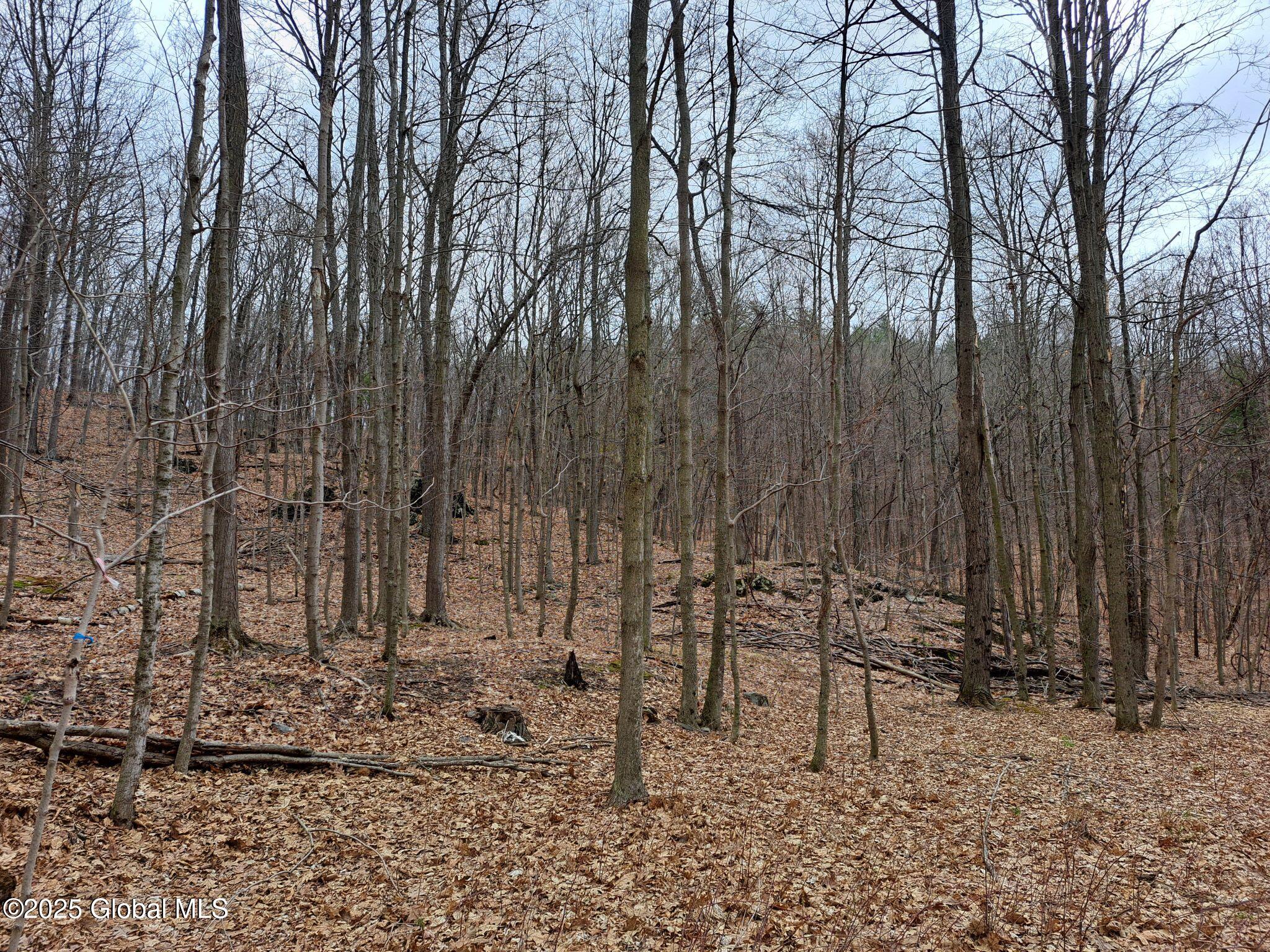 851 Bald Mountain Road, Greenwich, New York image 32