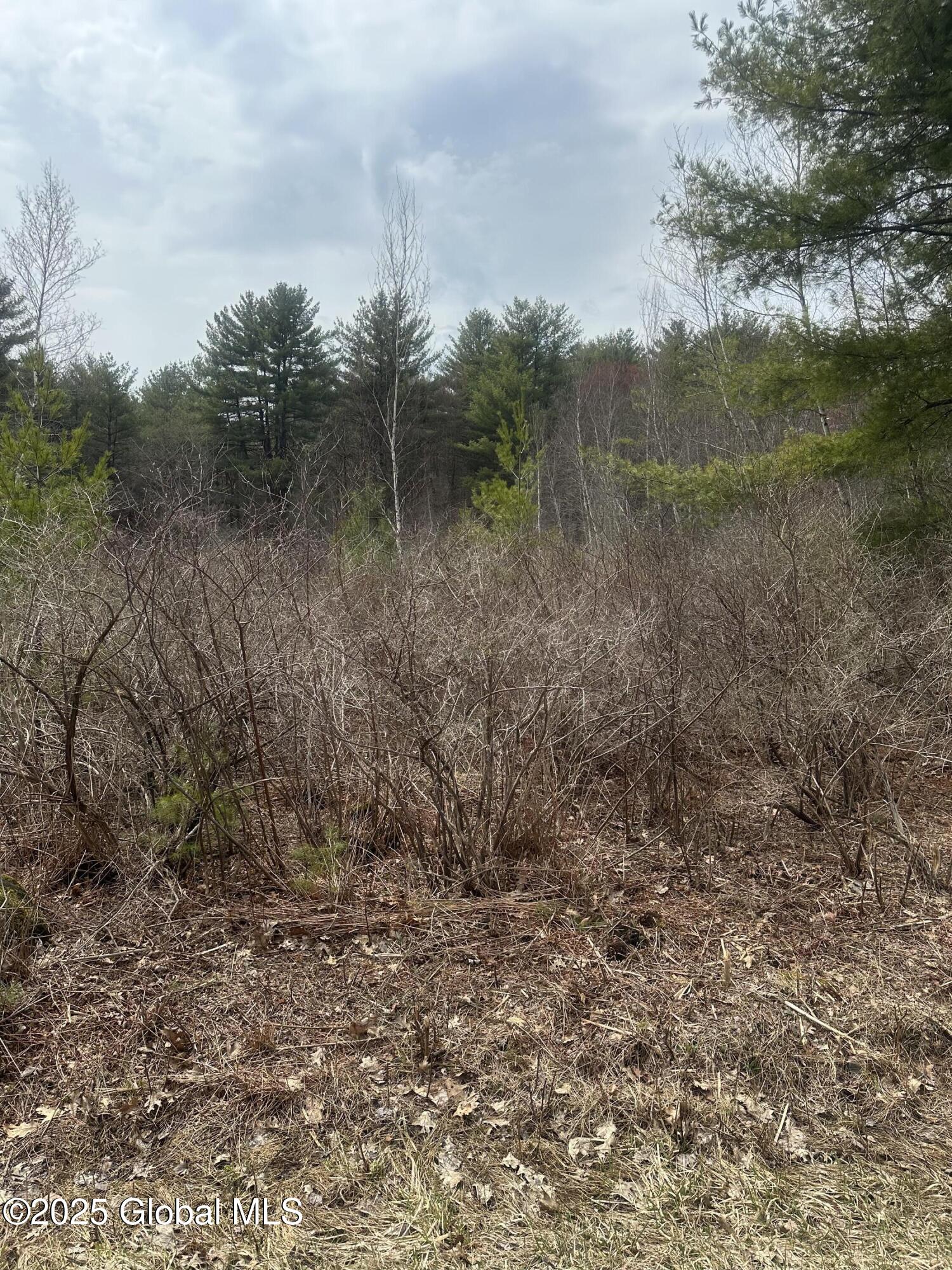 L46.112 Sandhill Road, Greenfield Center, New York image 10