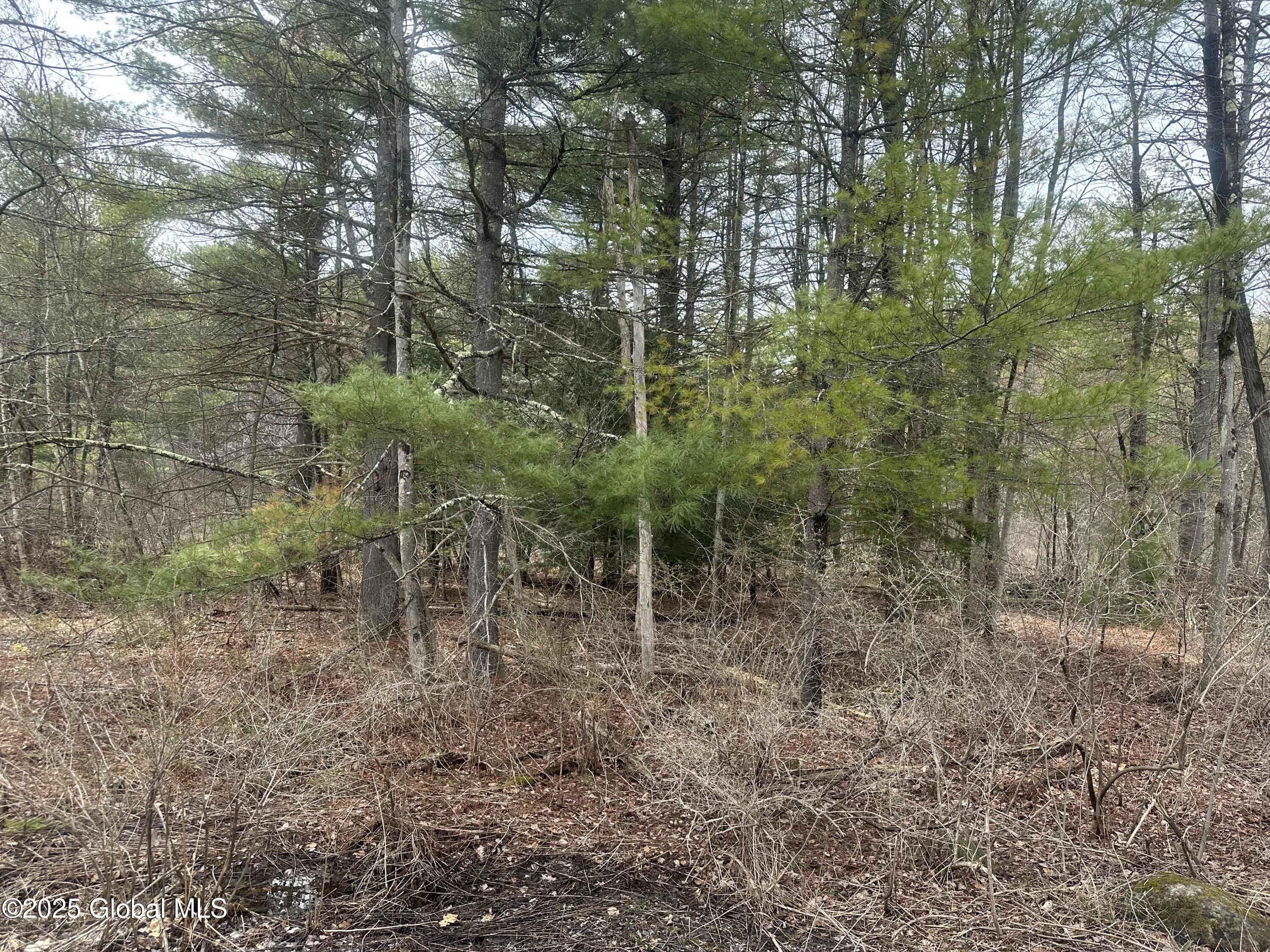 L46.112 Sandhill Road, Greenfield Center, New York image 19