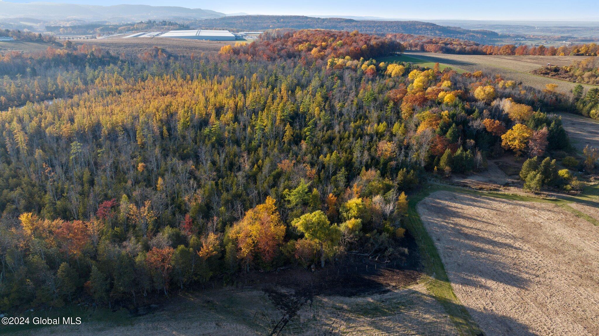 L4 Off Highway Route 20, Sharon Springs, New York image 4