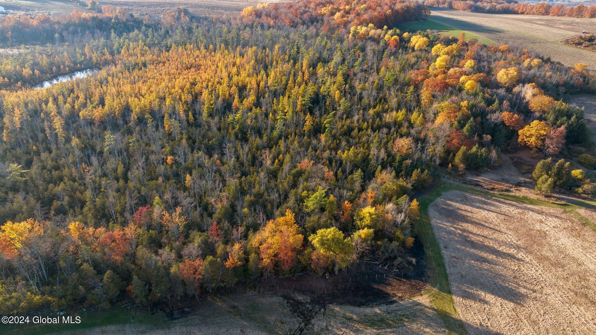 L4 Off Highway Route 20, Sharon Springs, New York image 2