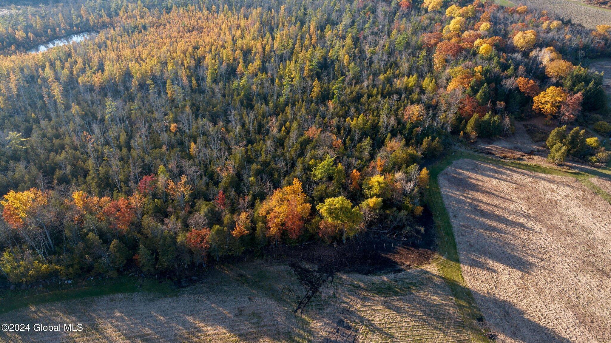 L4 Off Highway Route 20, Sharon Springs, New York image 3