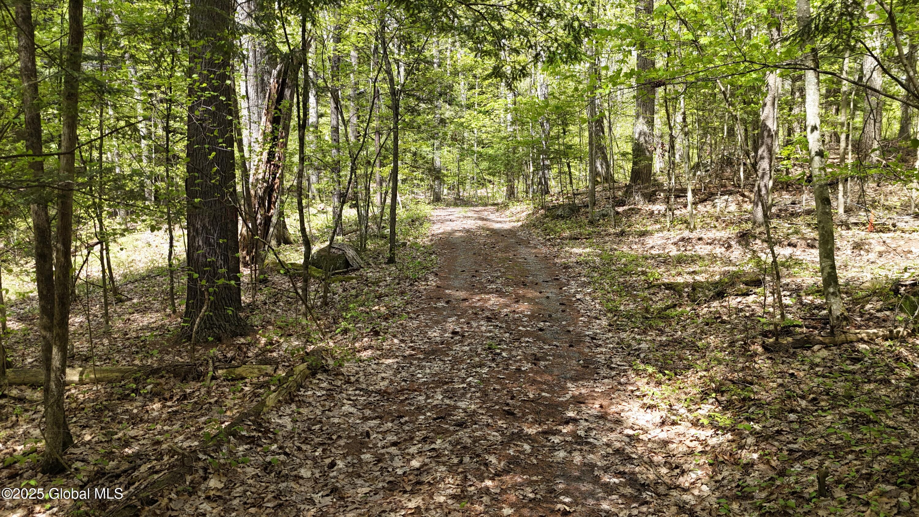 115 Beaver Way, Keene Valley, New York image 4
