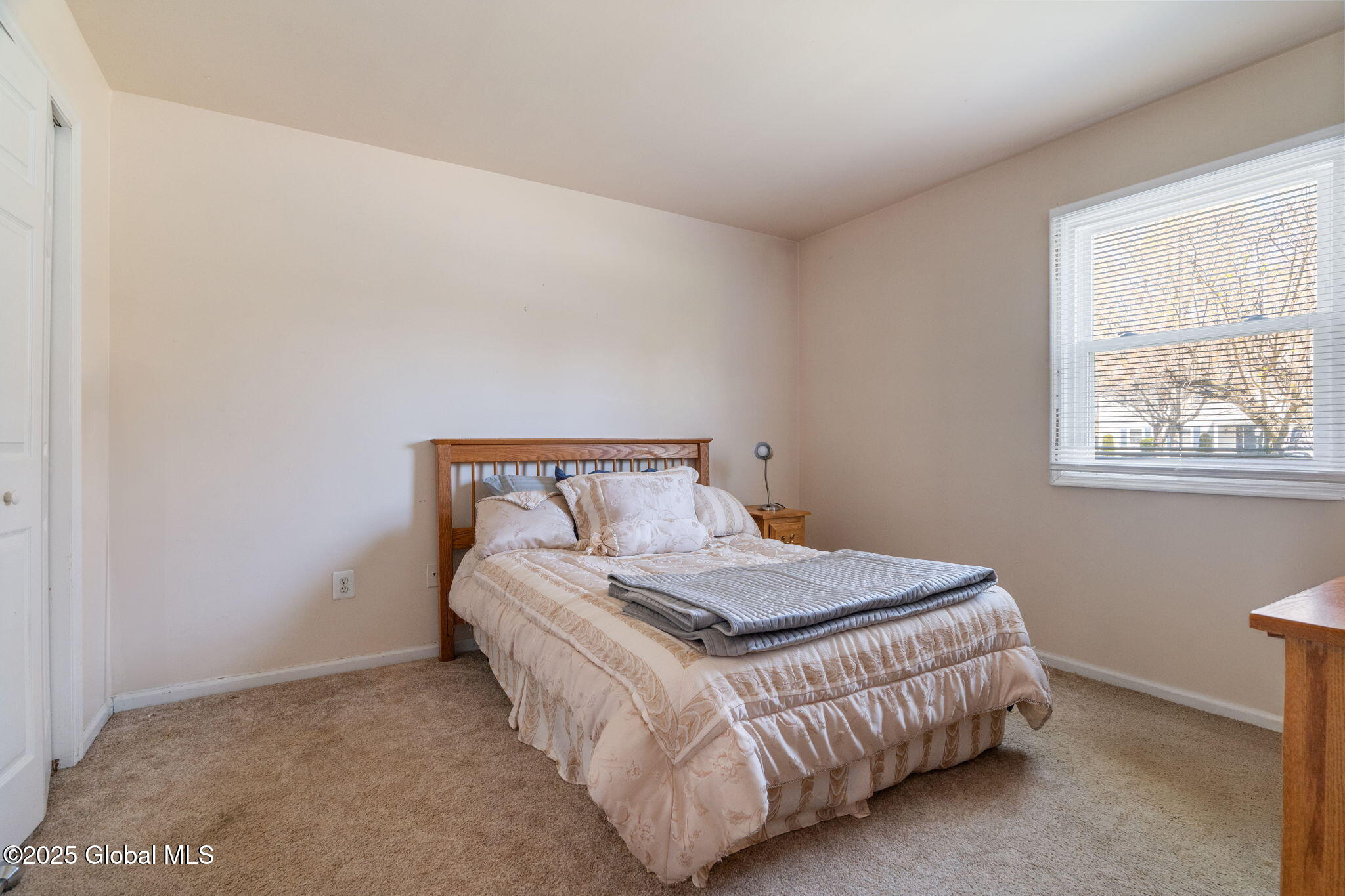 144 Cedarview Lane, Colonie, New York image 17