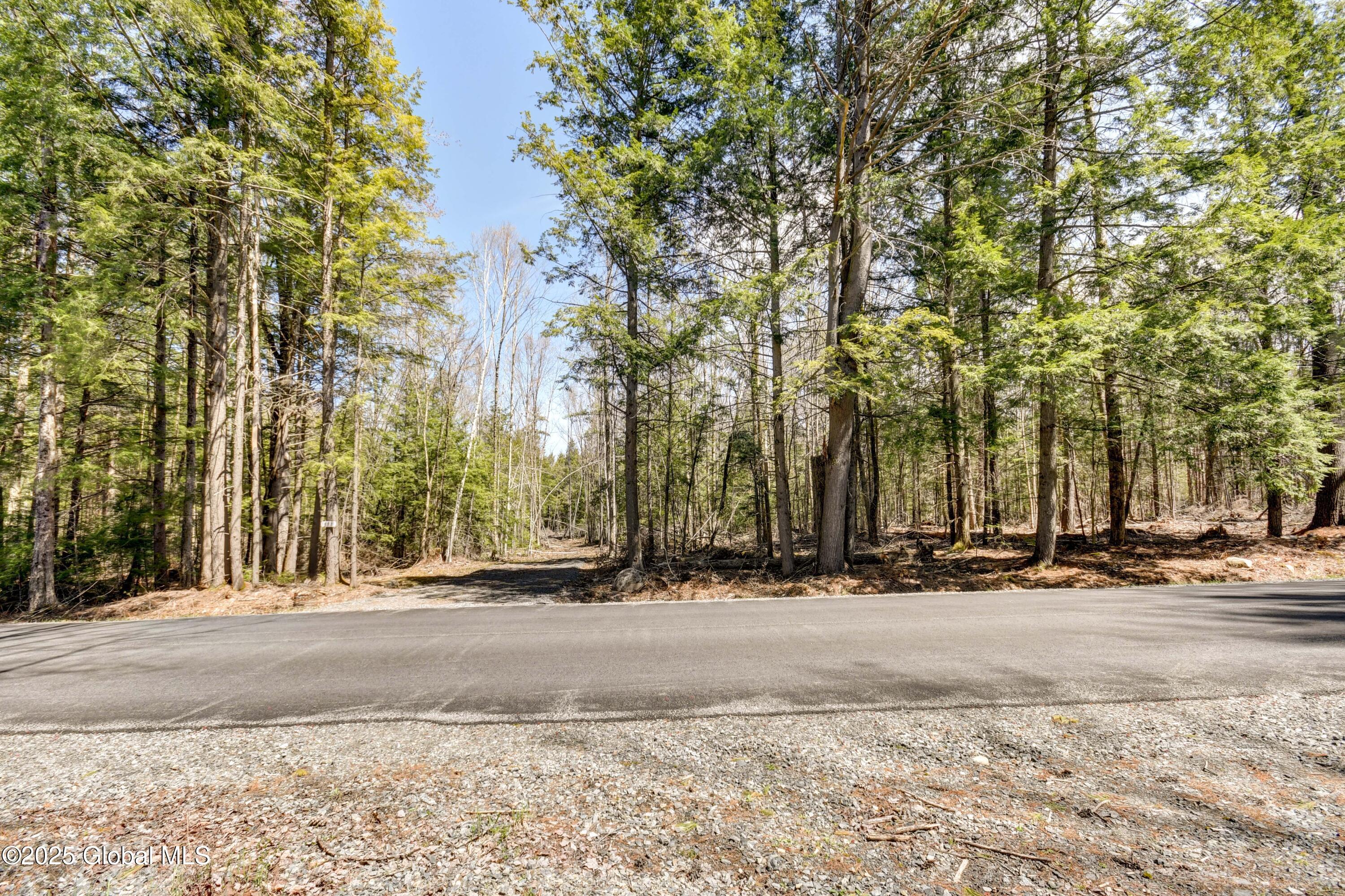 L3 White Birch Road #LOT 16, Northville, New York image 9