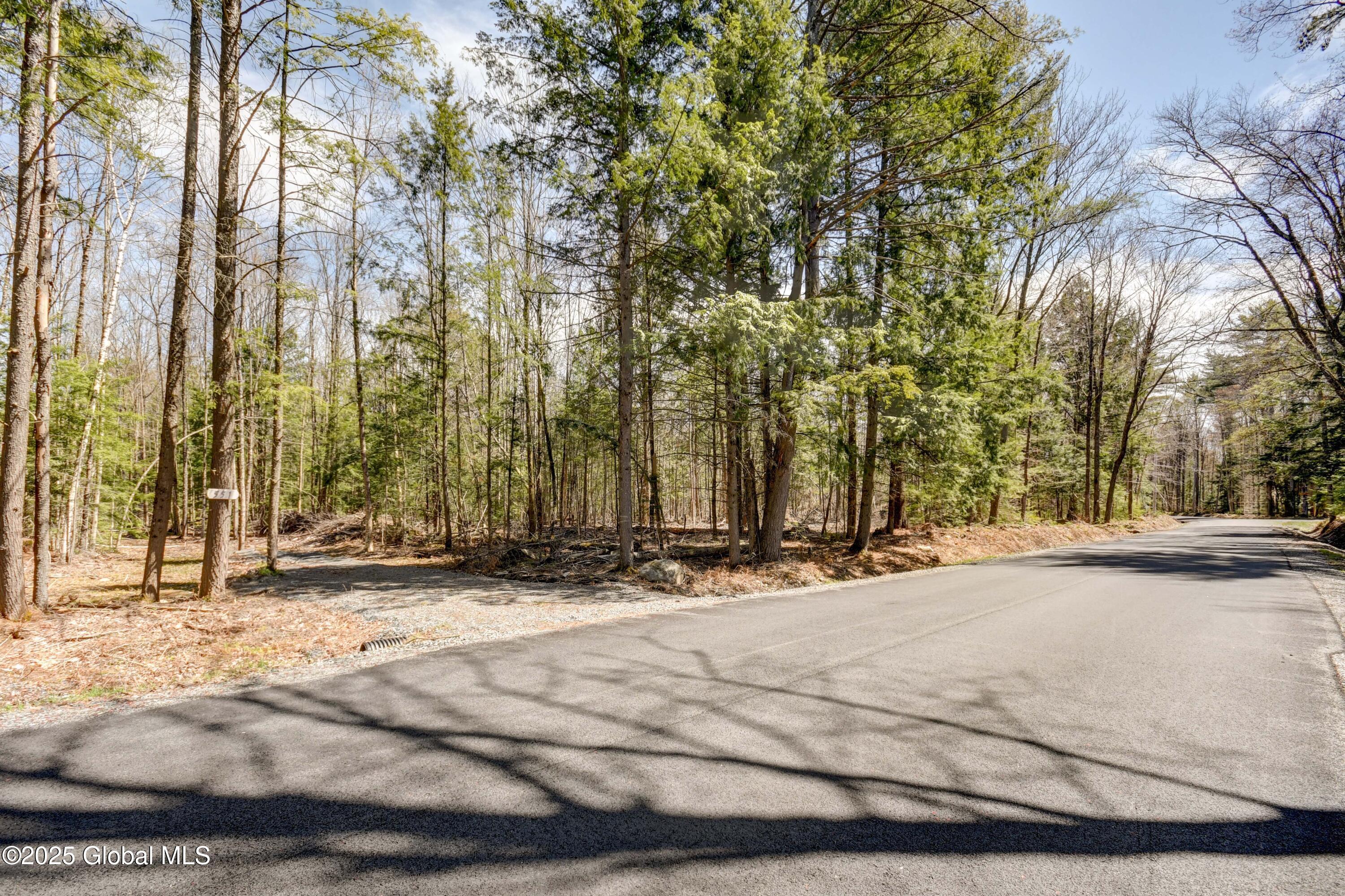 L3 White Birch Road #LOT 16, Northville, New York image 10