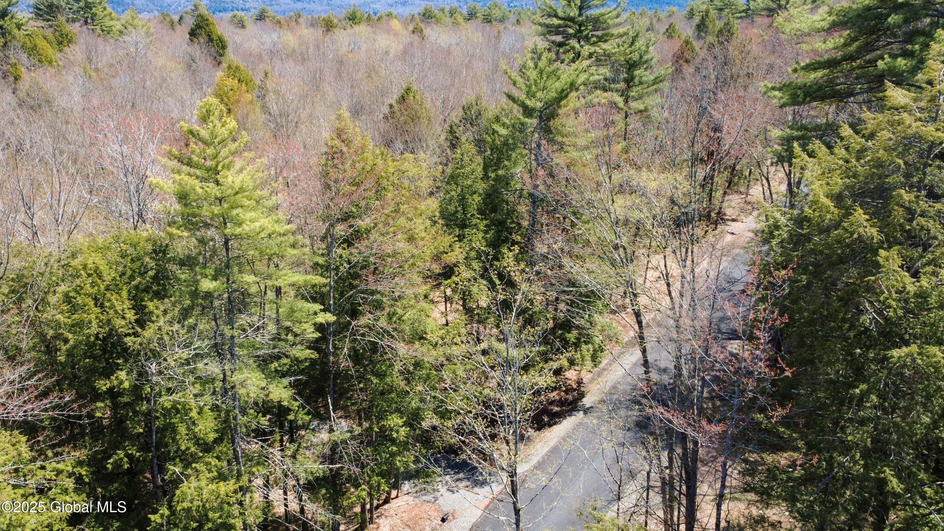 L3 White Birch Road #LOT 16, Northville, New York image 23