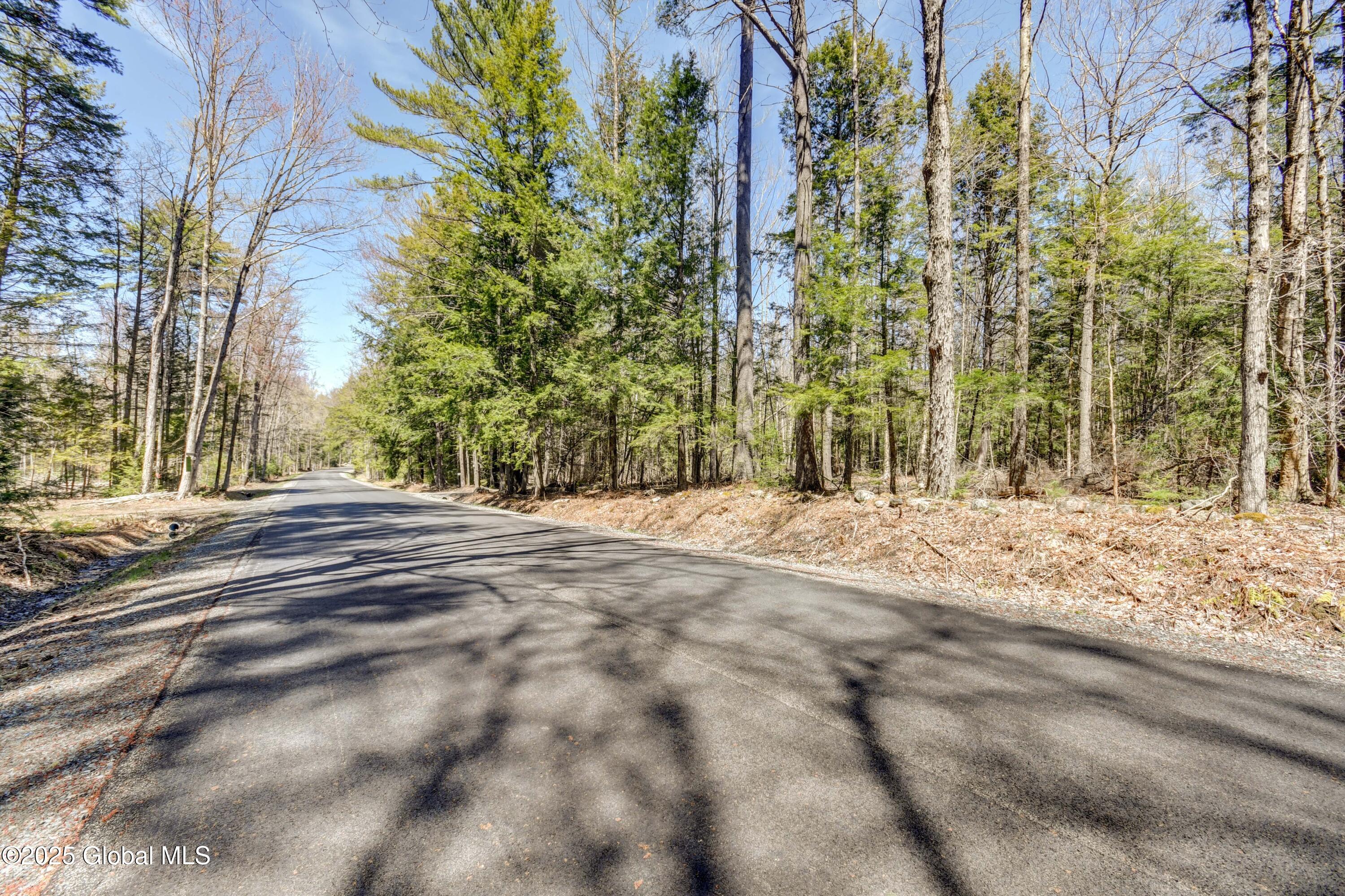 L3 White Birch Road #LOT 16, Northville, New York image 15