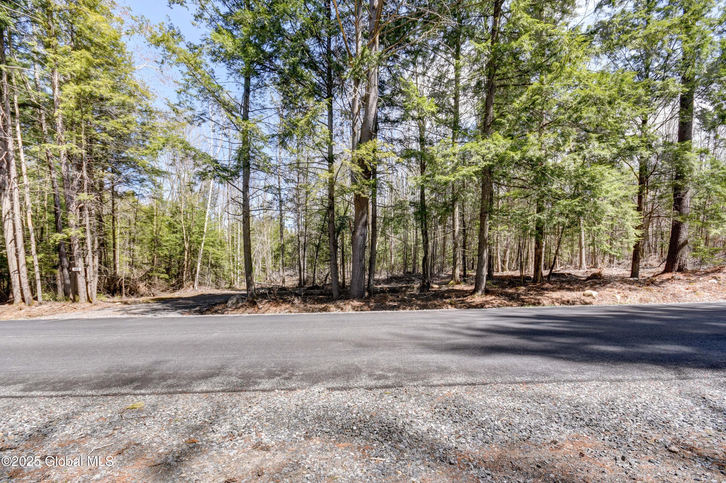 L3 White Birch Road #LOT 16, Northville, New York image 8