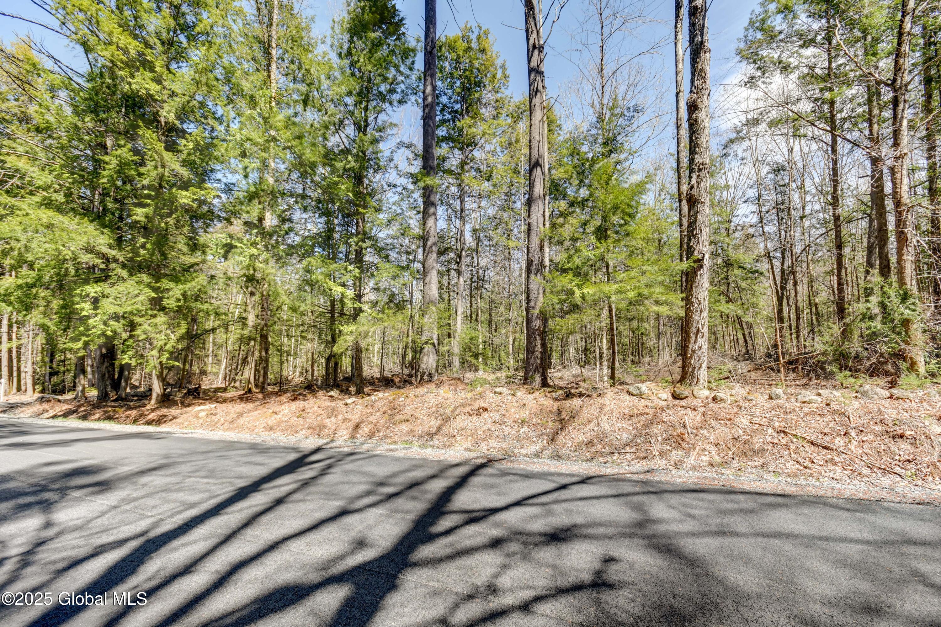 L3 White Birch Road #LOT 16, Northville, New York image 7