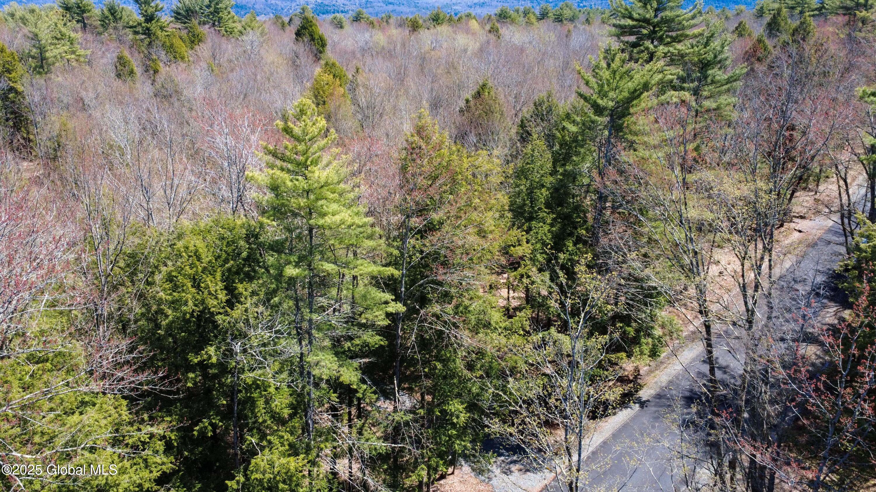 L3 White Birch Road #LOT 16, Northville, New York image 22