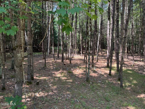 Vacant Land For Sale - 65 Hidden Valley Road<br/> Lake Luzerne, NY 12846