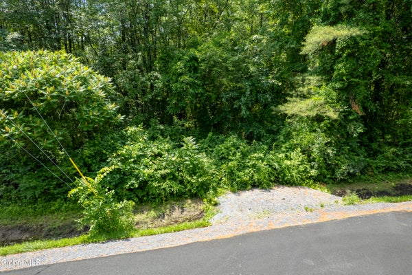 284 BURT RD # 290, FORT EDWARD, NY 12828 - Image 2a95a2dee90fc76d6368ef923dd78c30/1586683055