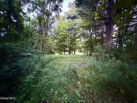 Vacant Land For Sale - 2-38.11 Spring Avenue<br/> Fulton County, Gloversville, NY 12078
