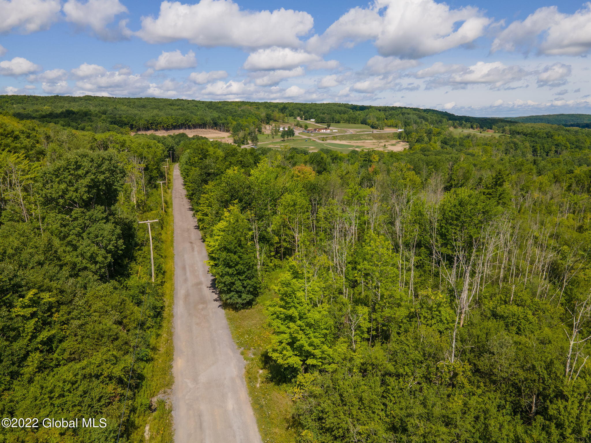 301 Lape Road, Esperance, New York image 9