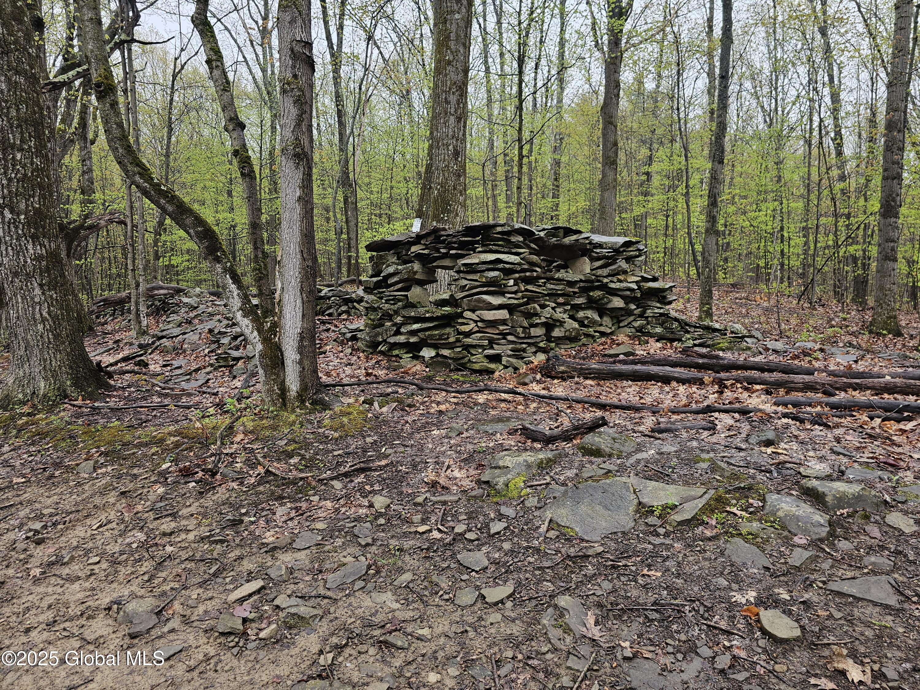 301 Lape Road, Esperance, New York image 22