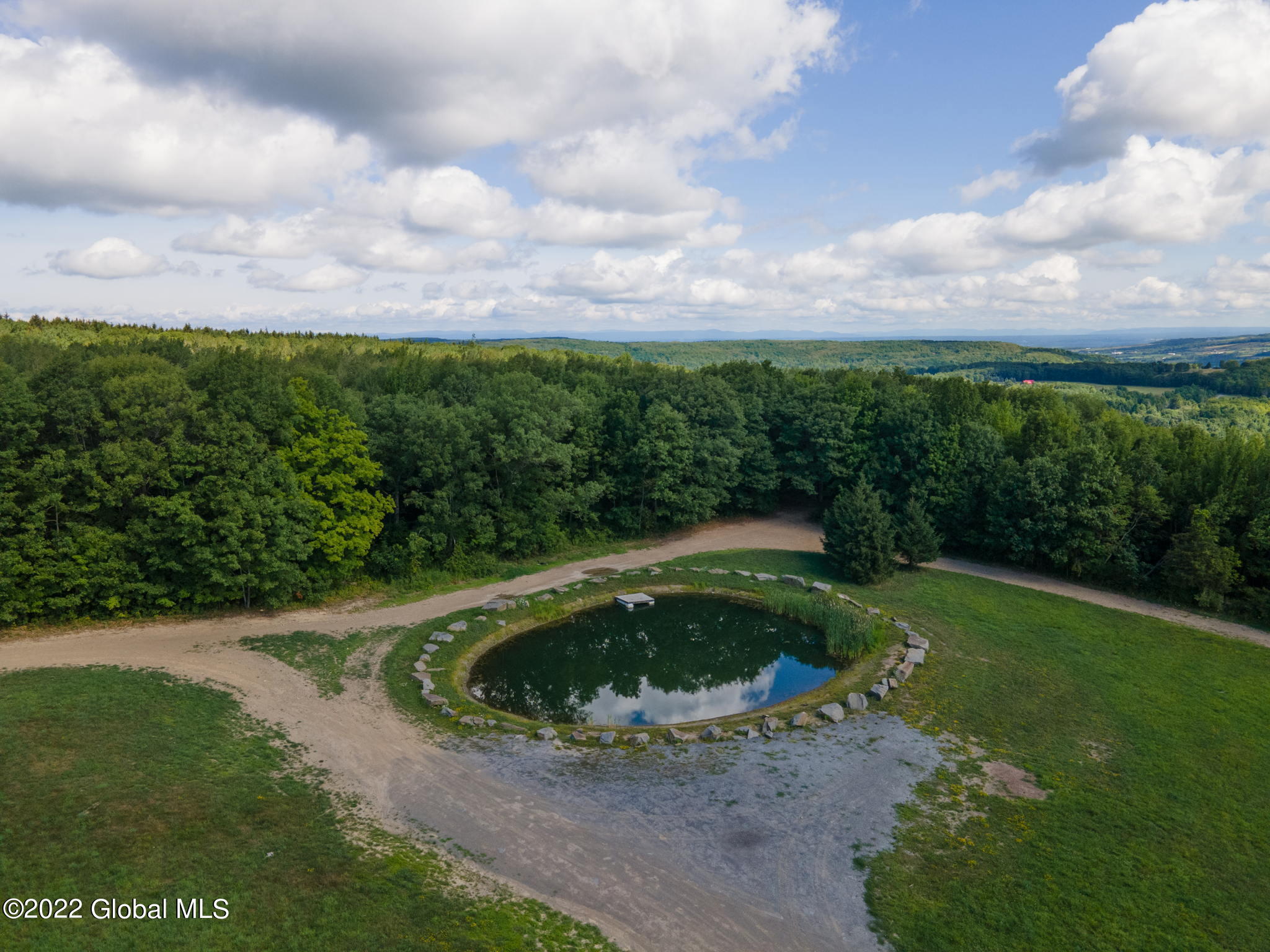 301 Lape Road, Esperance, New York image 7