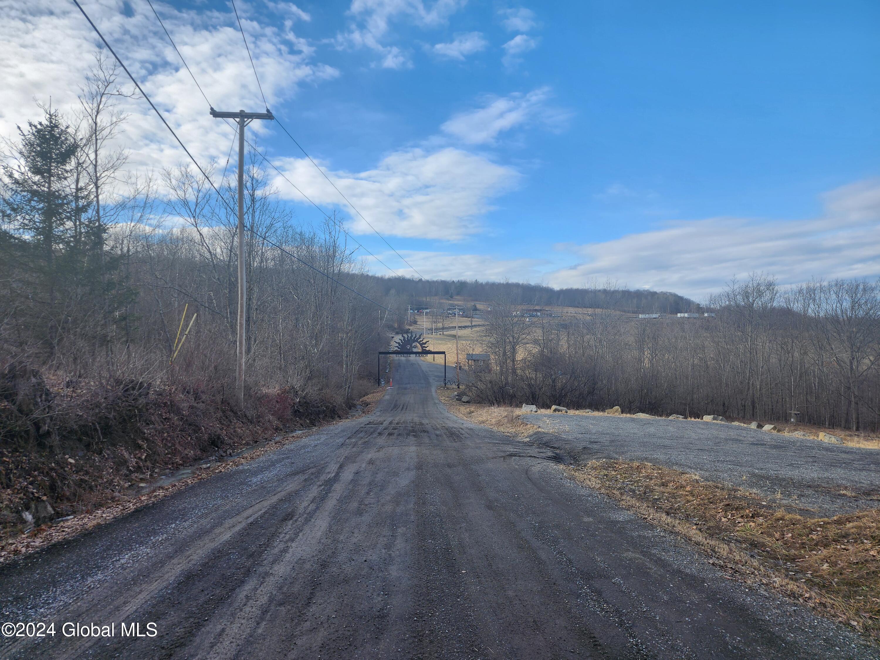 301 Lape Road, Esperance, New York image 5