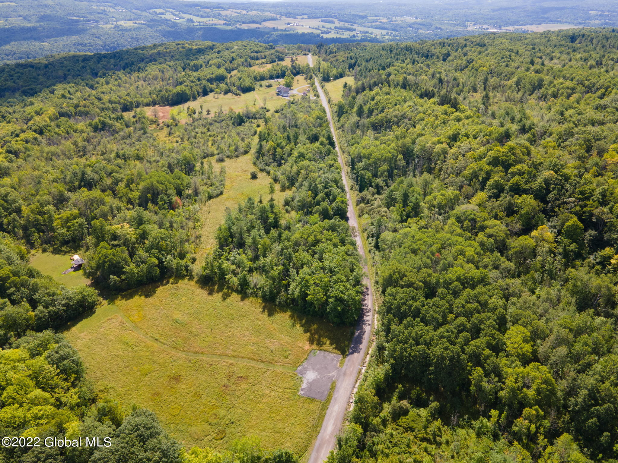 301 Lape Road, Esperance, New York image 8