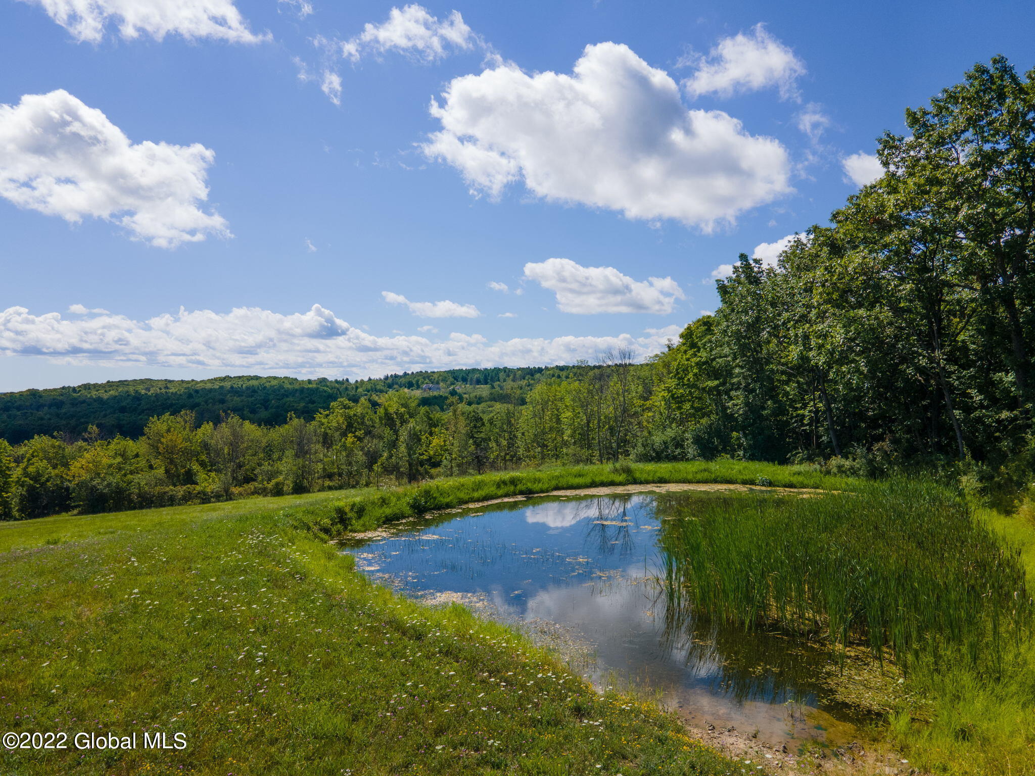301 Lape Road, Esperance, New York image 6