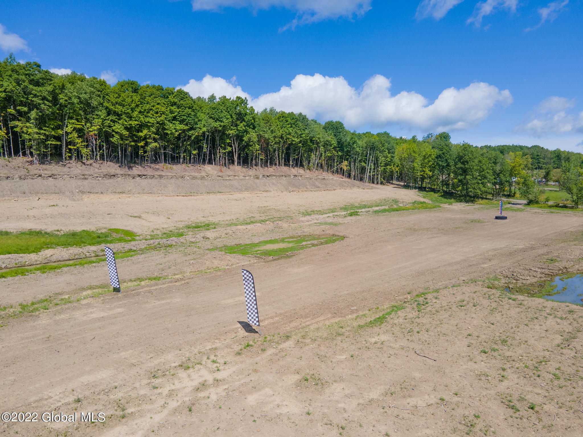 301 Lape Road, Esperance, New York image 26