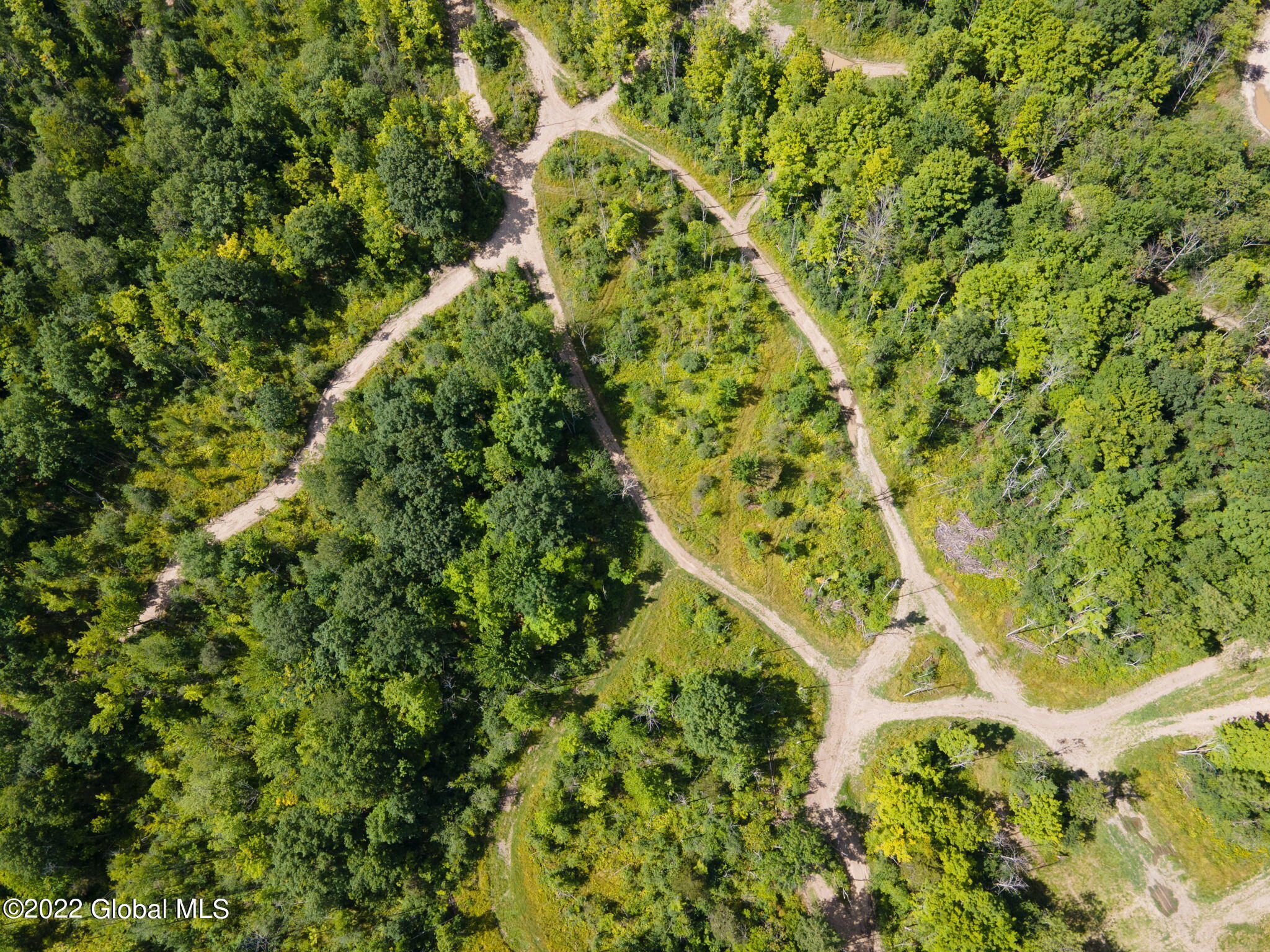 301 Lape Road, Esperance, New York image 10