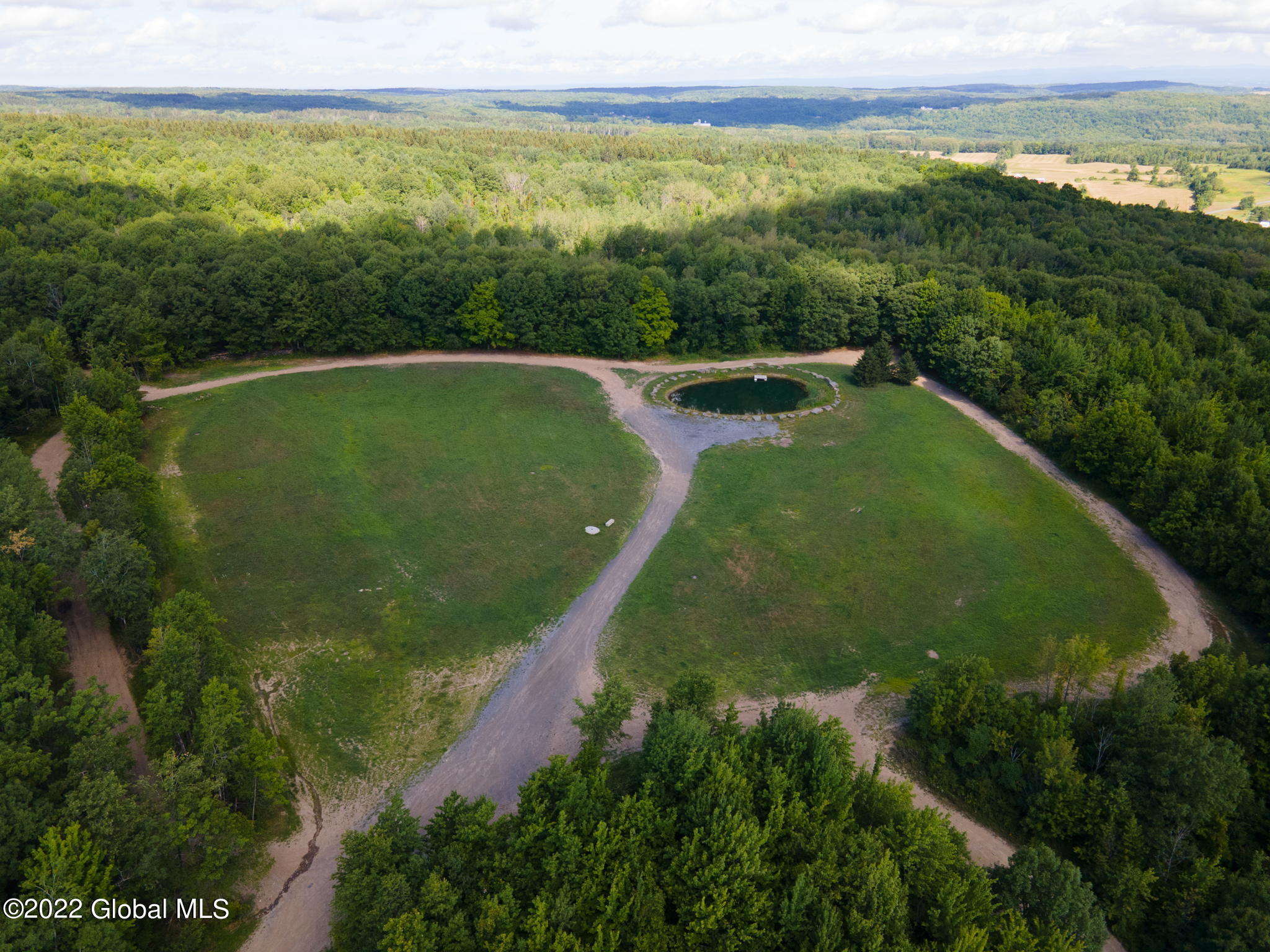 301 Lape Road, Esperance, New York image 23