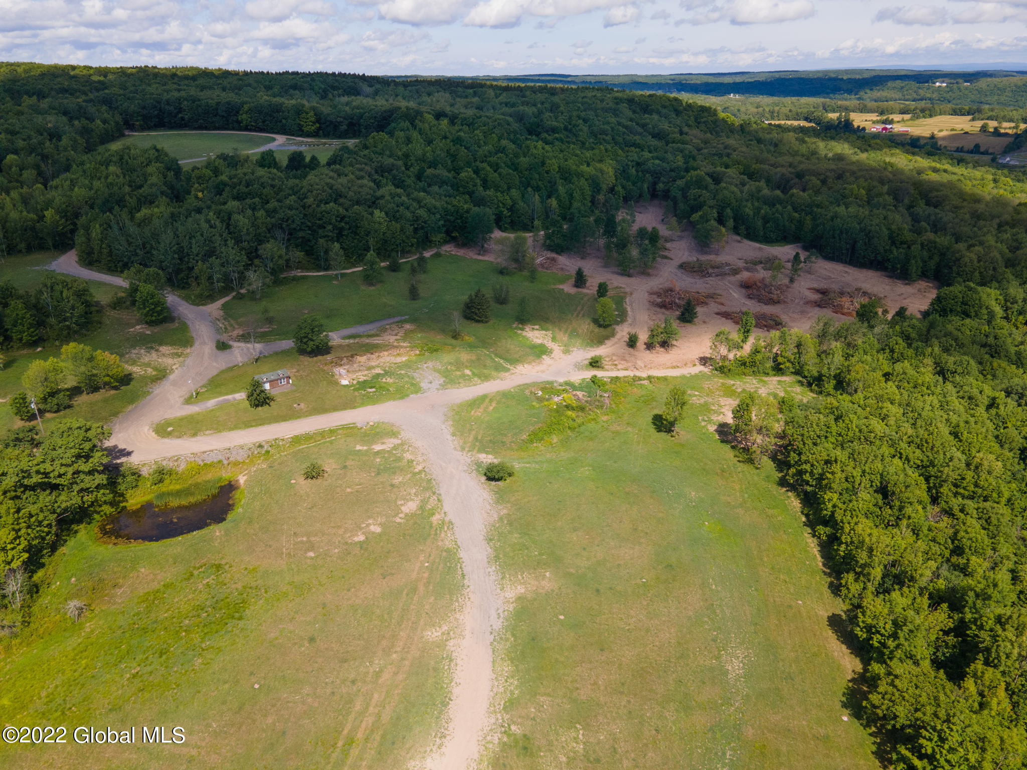 301 Lape Road, Esperance, New York image 22