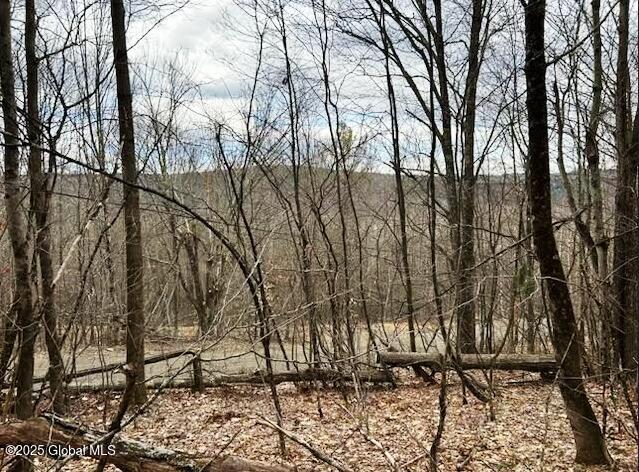 L29 Torsten Lane, Davenport, New York image 3