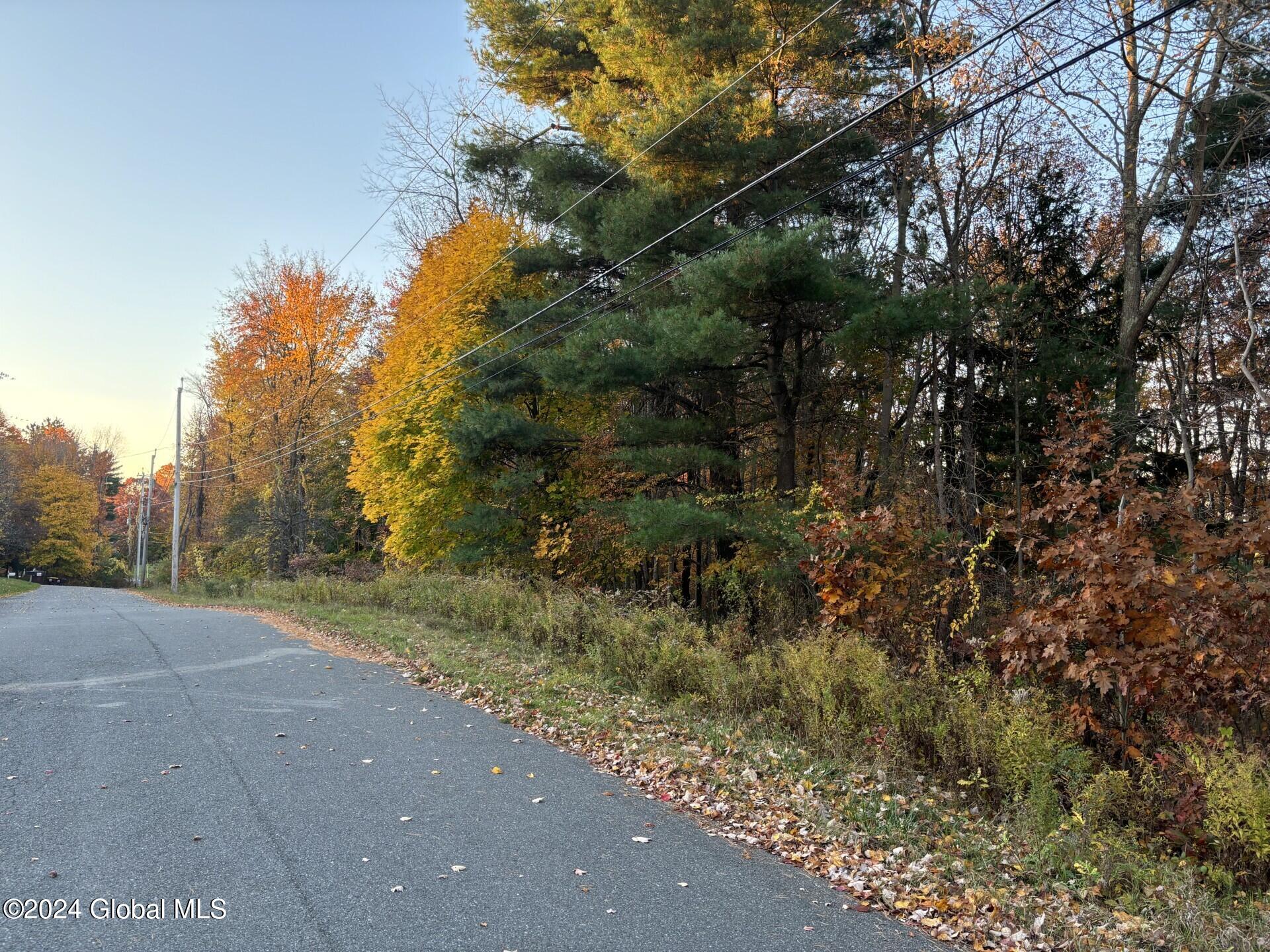 L37 Ny 43, West Sand Lake, New York image 4