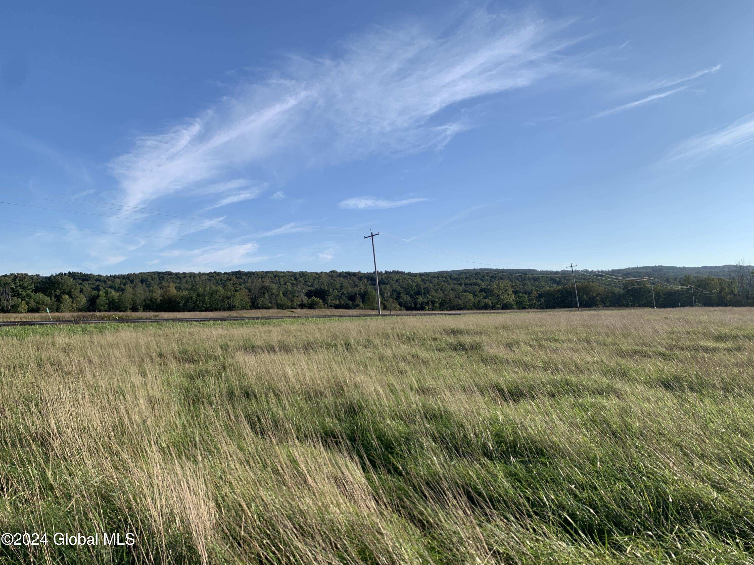 Lot 3 Ny 30, Esperance, New York image 11