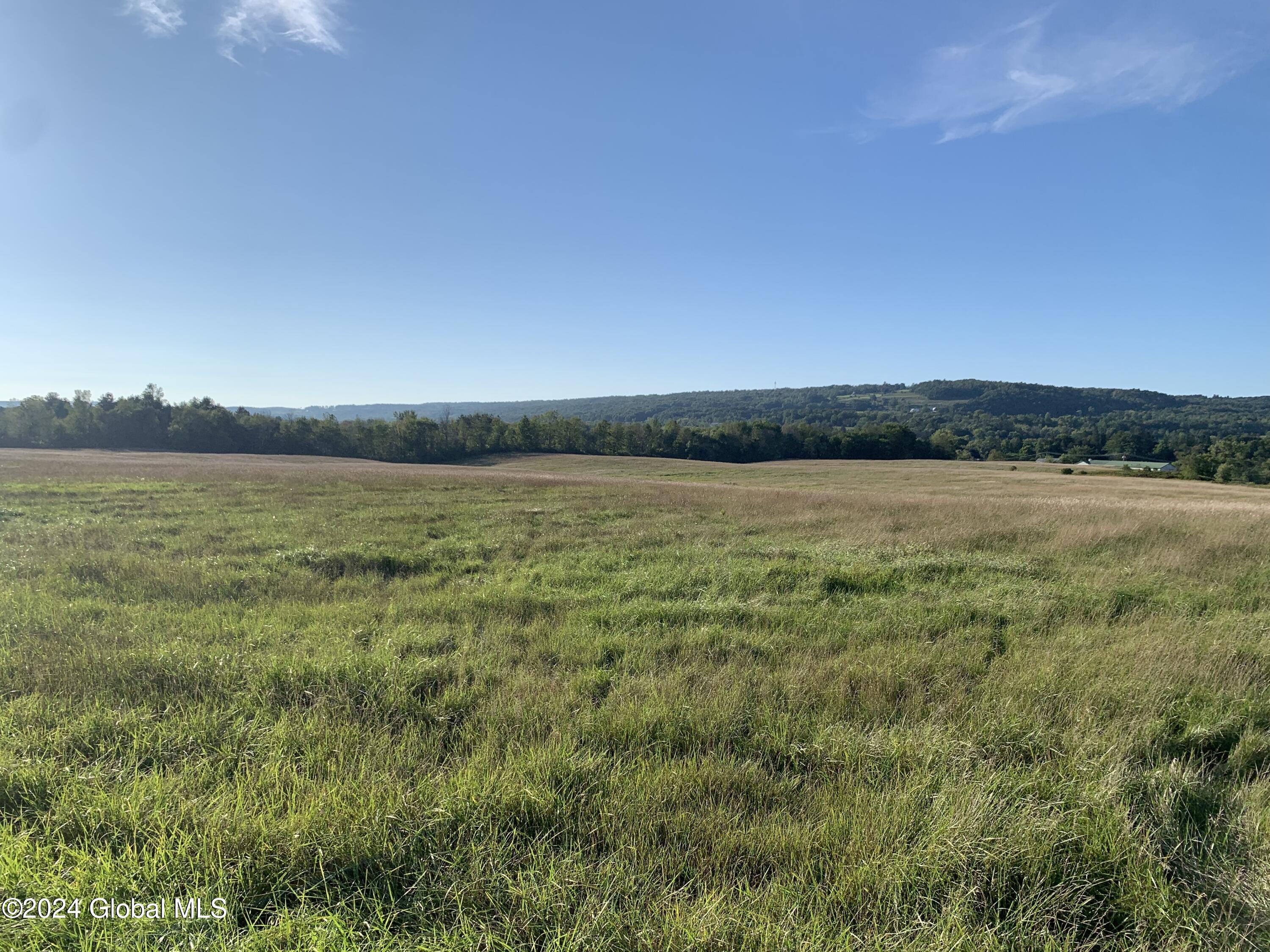 Lot 3 Ny 30, Esperance, New York image 8