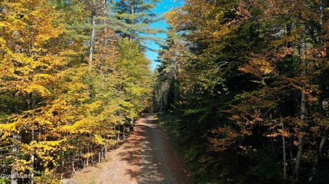 Vacant Land For Sale - 173 Cleveland Road<br/> Johnsburg, NY 12843