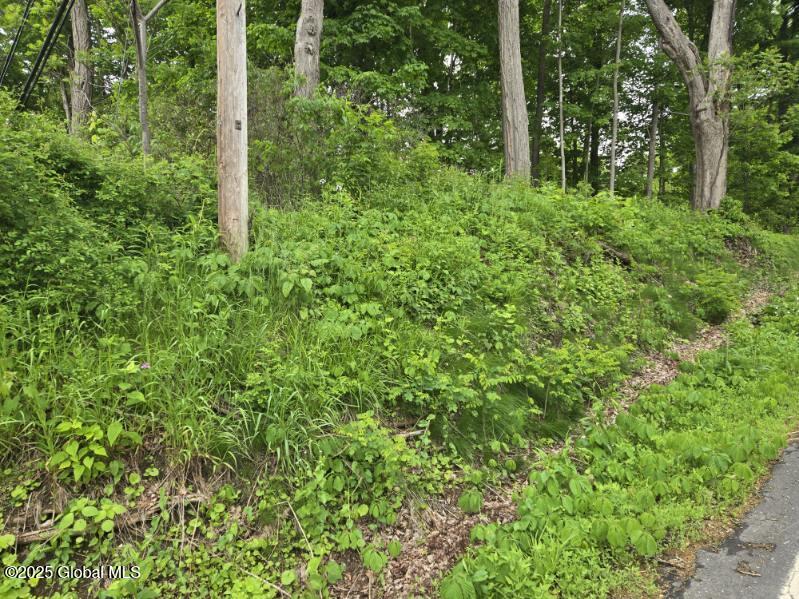 L4 Johnson Road, Schenectady, New York image 6