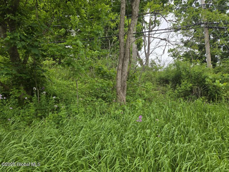 L4 Johnson Road, Schenectady, New York image 4