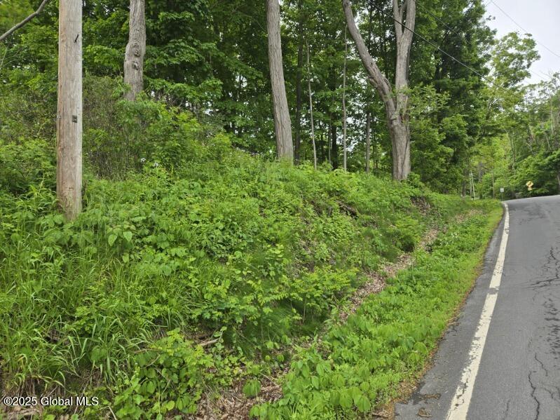 L4 Johnson Road, Schenectady, New York image 7