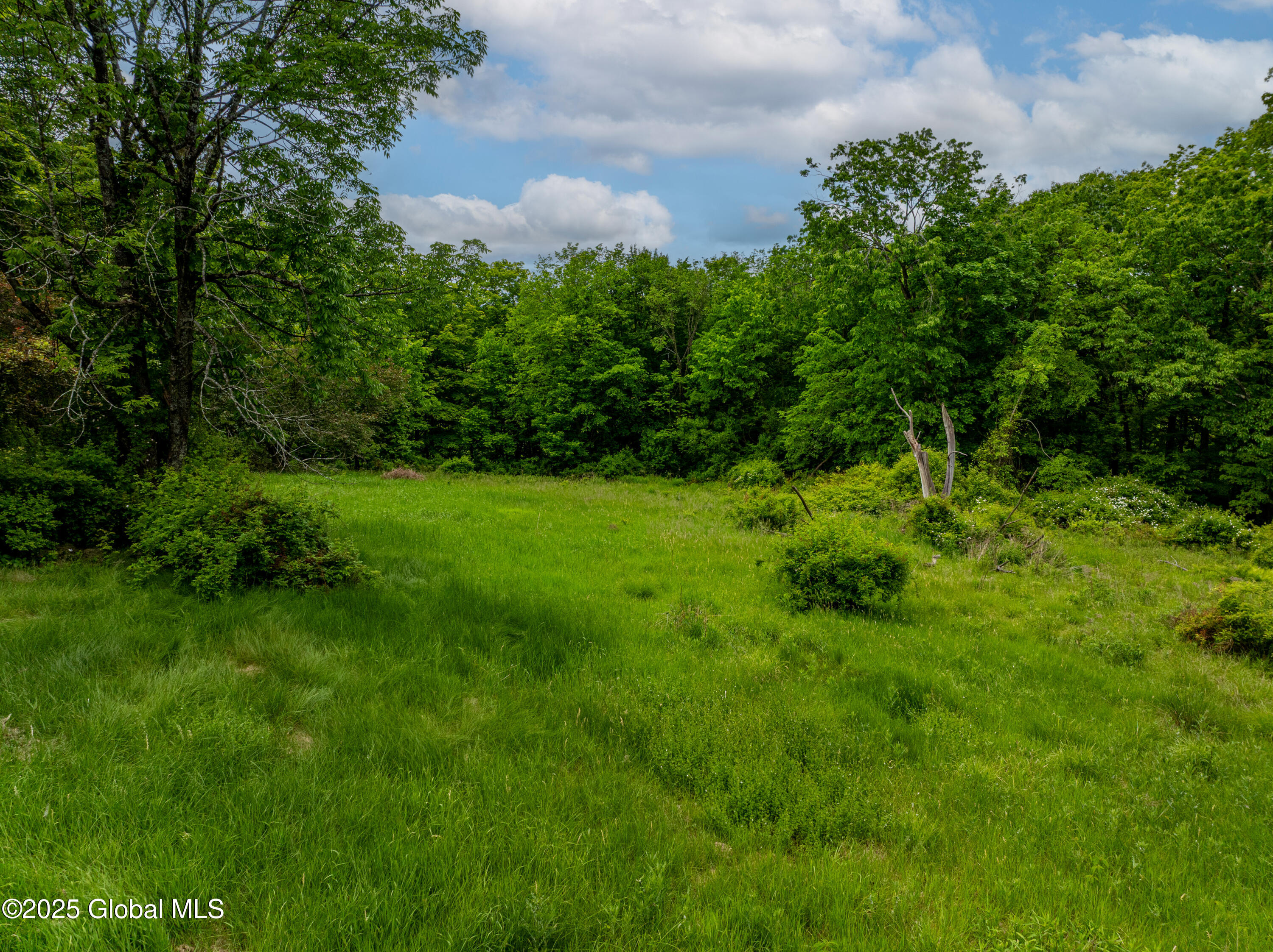 13 Camel Hill Road, Troy, New York image 11