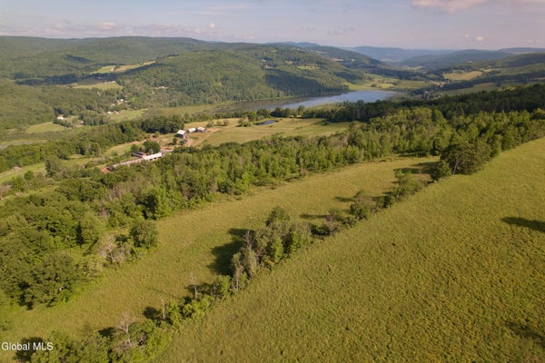 104 EARLES RD, MIDDLEBURGH, NY 12122 - Image 2da2e9befd412cbeb0c19604113b7022/2032698843