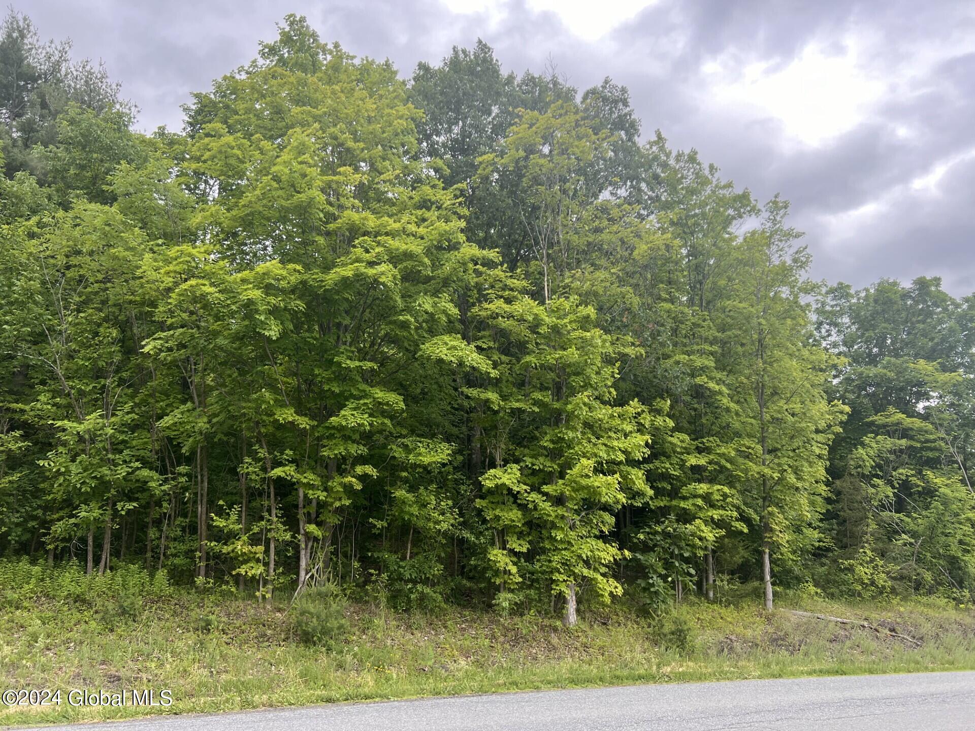 9 Hinds Road, Argyle, New York image 15