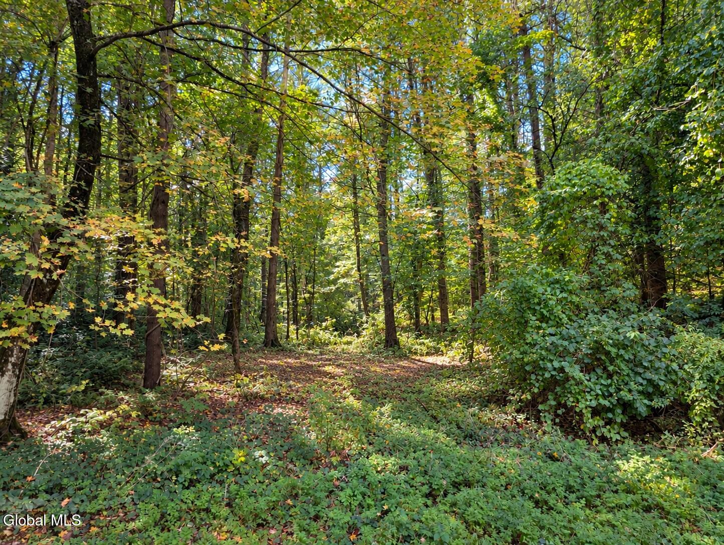 Lot 3 Massachusetts 41