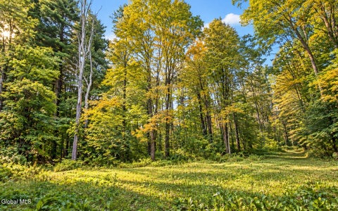 Photo of Lot 3 Massachusetts 41, Richmond, MA 01254 (MLS # 202628471)