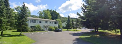 Multifamily For Sale - 85-87 Nelson Avenue<br/> Ghent, NY 12075