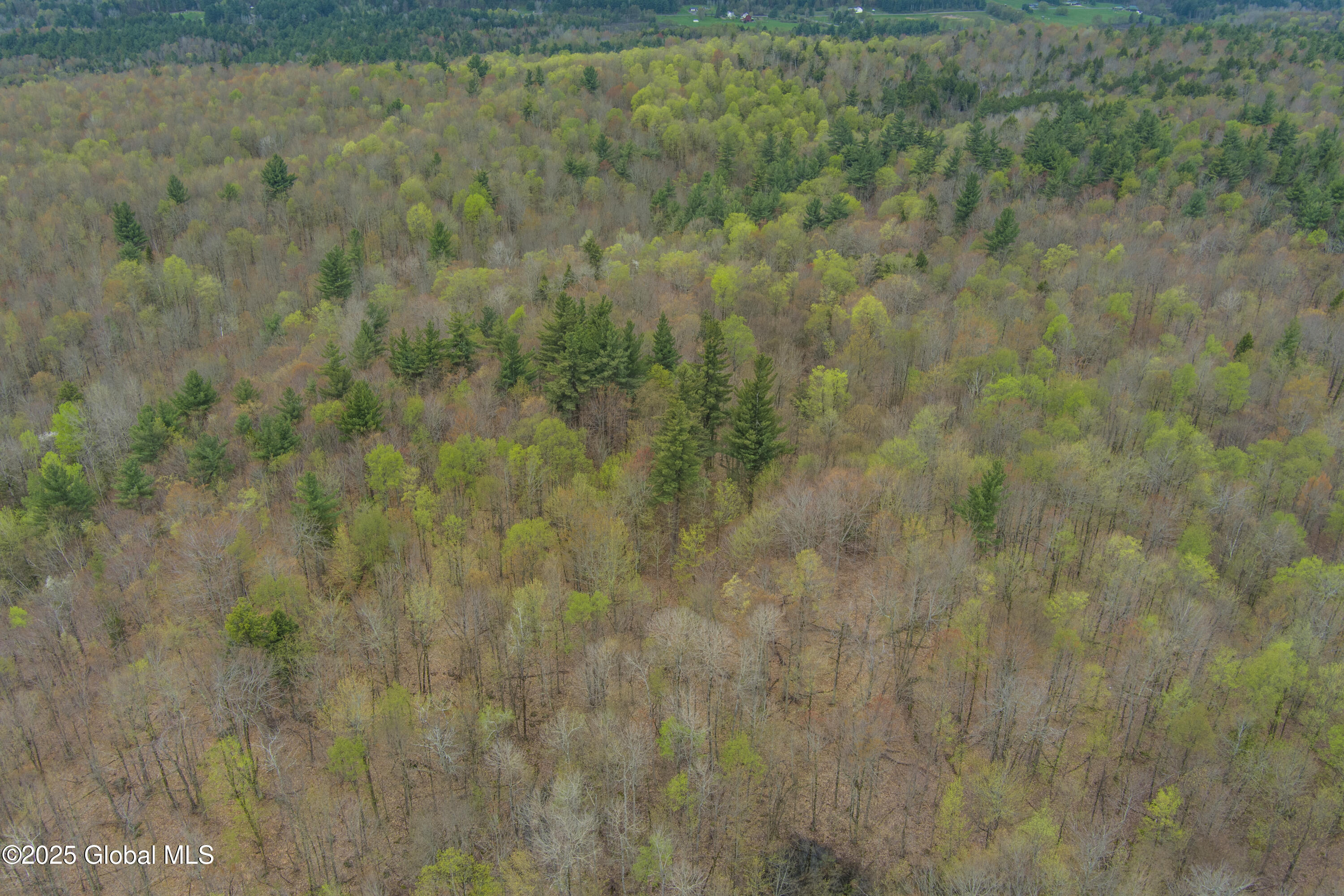 L47 Boyd Pond Road, Russell, New York image 30