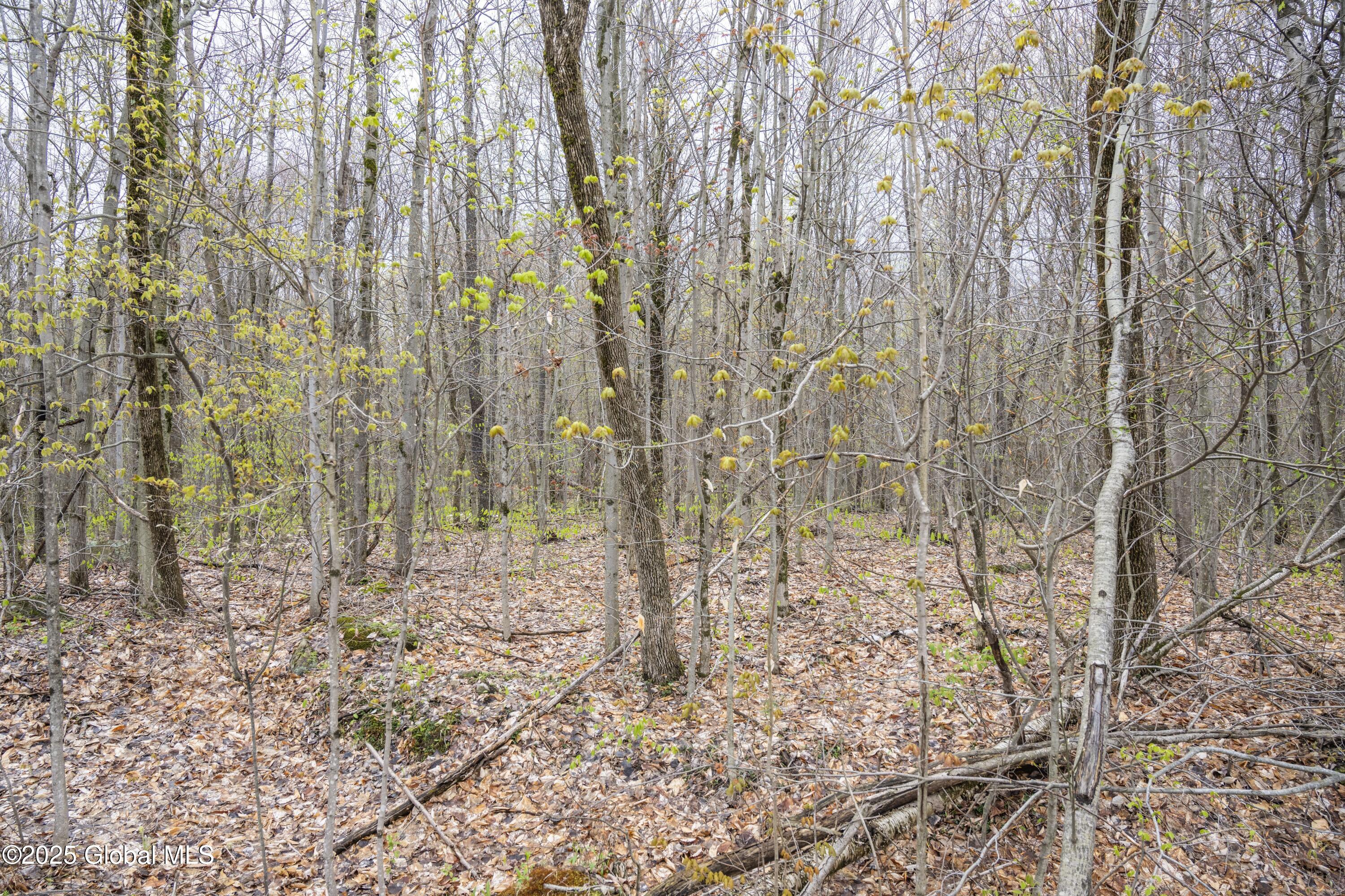 L47 Boyd Pond Road, Russell, New York image 15