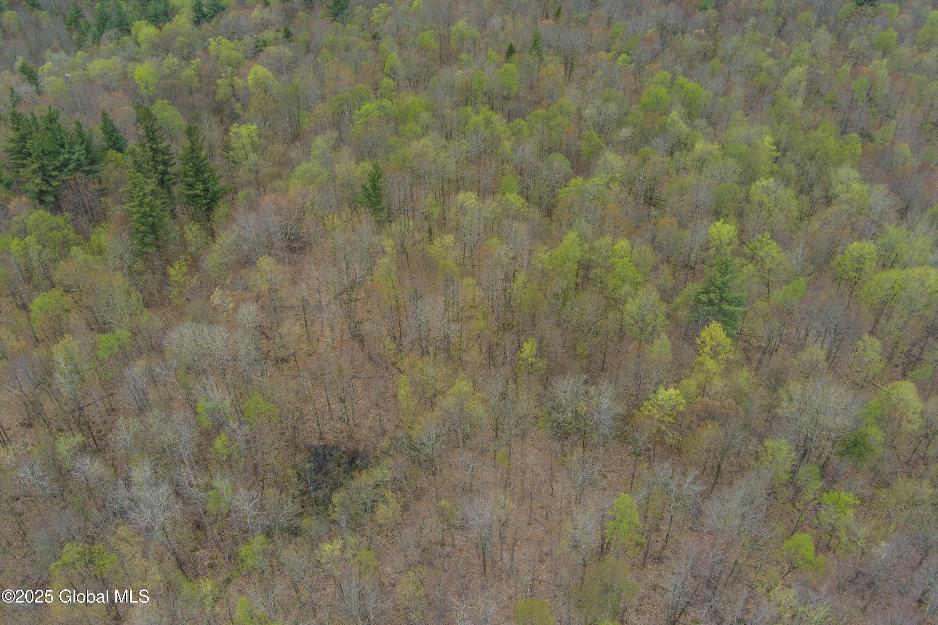 L47 Boyd Pond Road, Russell, New York image 34