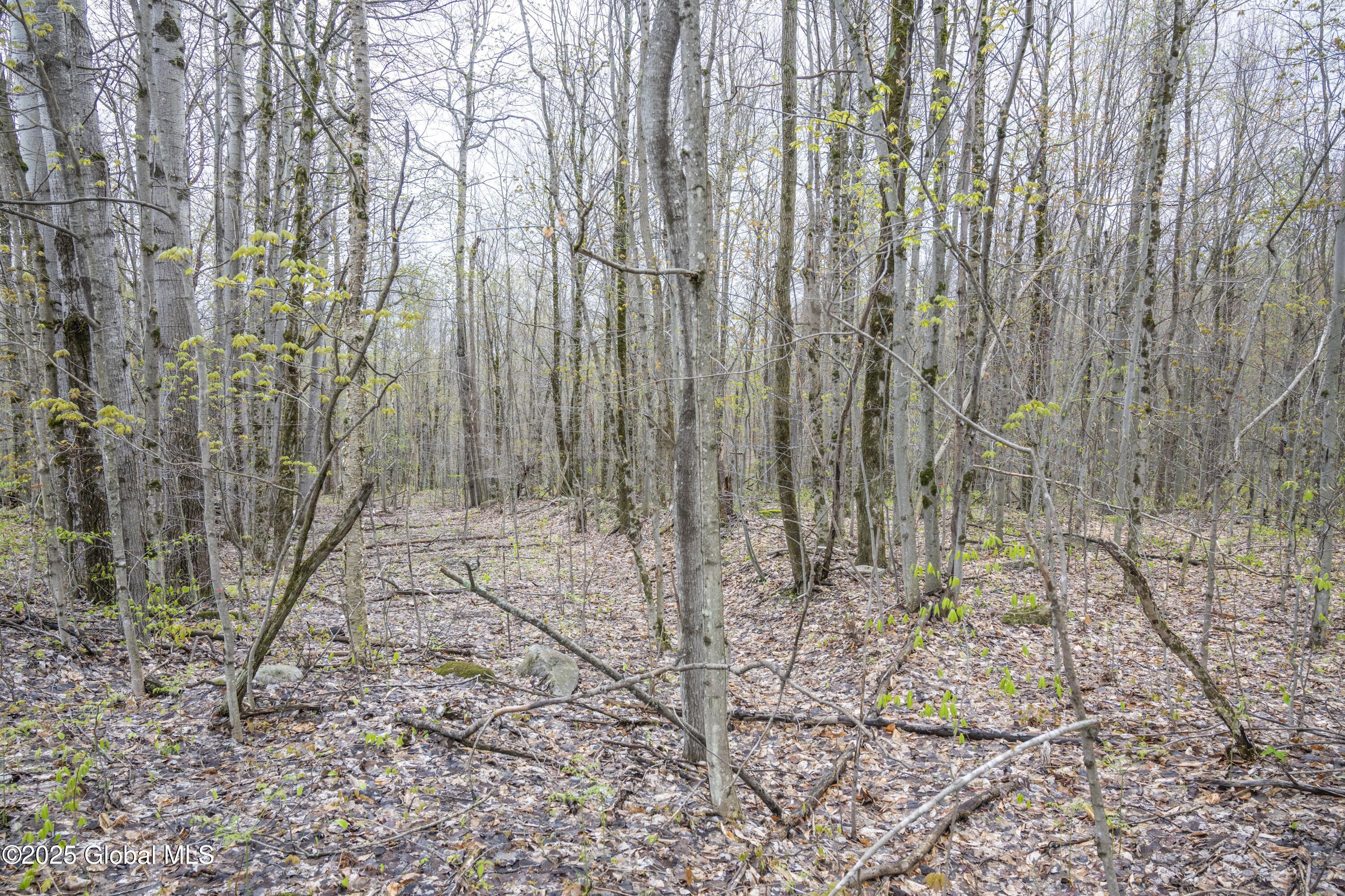 L47 Boyd Pond Road, Russell, New York image 16