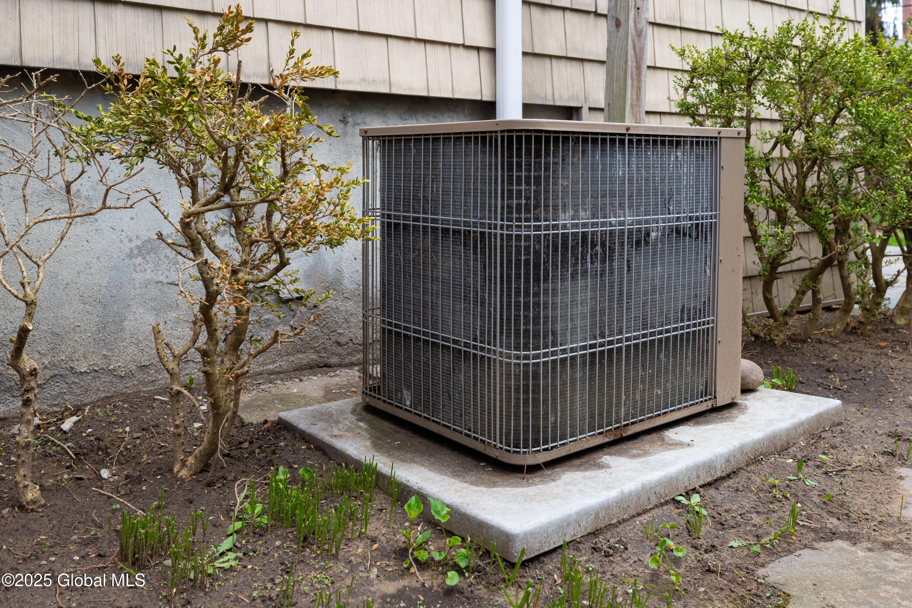 11 Danker Avenue, Albany, New York image 10