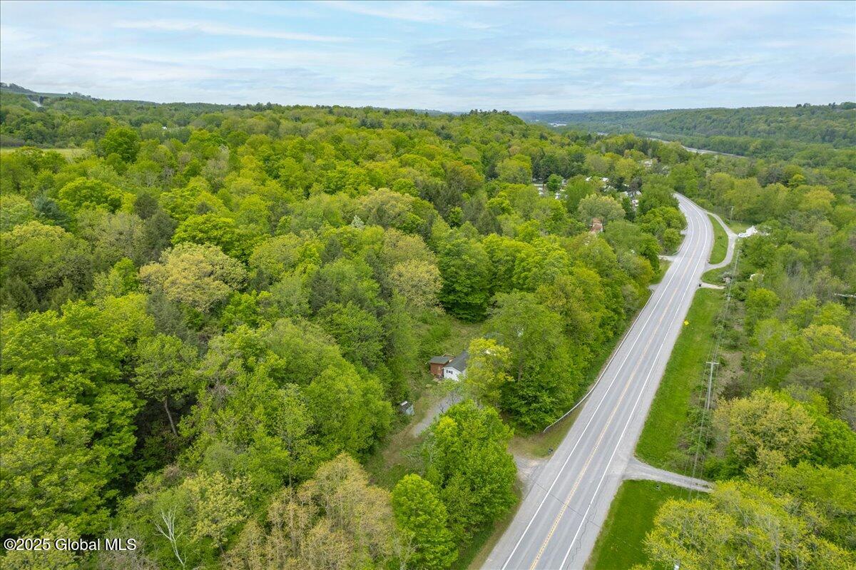 207 State Highway 5s St, Pattersonville, New York image 48
