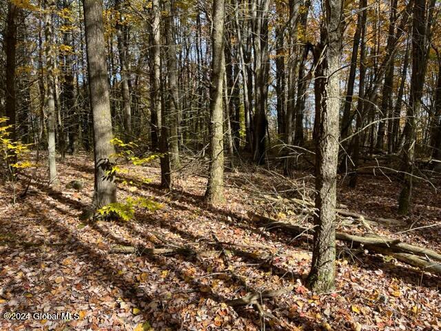 L30.2 Goewey Road, Fultonville, New York image 8