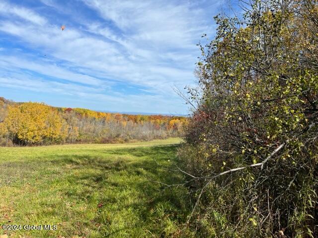 L30.2 Goewey Road, Fultonville, New York image 1